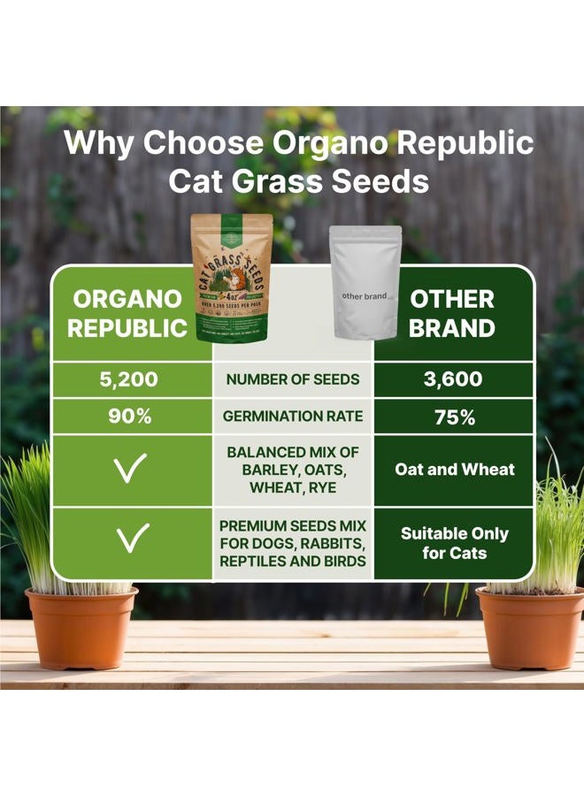 Organo Republic خليط بذور عشب القطط - 5,200 بذور غير معدلة وراثيًا من سلالة قديمة للقطط والحيوانات الأليفة، عبوة 4 أونصات لزراعة شعير طازج، شوفان، جاودار وقمح، نباتات داخلية للحيوانات الأليفة، علاج كرات الشعر للقطط - Image 4