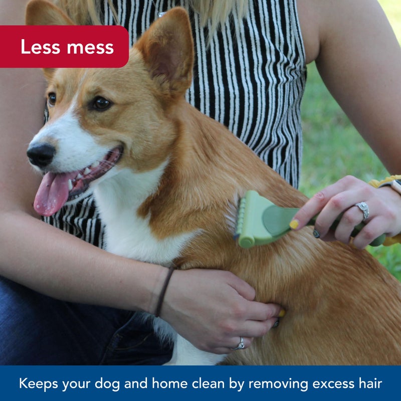 Coastal Pet Safari Shed Magic Deshedding Tool for Dogs with Medium to Long Hair - Deshedding & Detangling Dog Brush - Large - Image 4