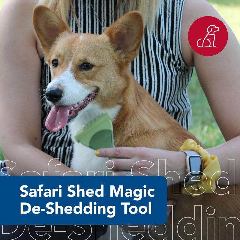 Coastal Pet Safari Shed Magic Deshedding Tool for Dogs with Medium to Long Hair - Deshedding & Detangling Dog Brush - Large - Image 2