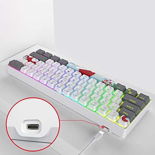 Owpkeenthy RGB Mechanical Keyboard 60 Percent Red Switches, Ultra-Compact Mini Wired Gaming Keybaord with Backlit PBT Dye-Sub Keycaps for Win/Mac/PC (White/Red Switch) - Image 5