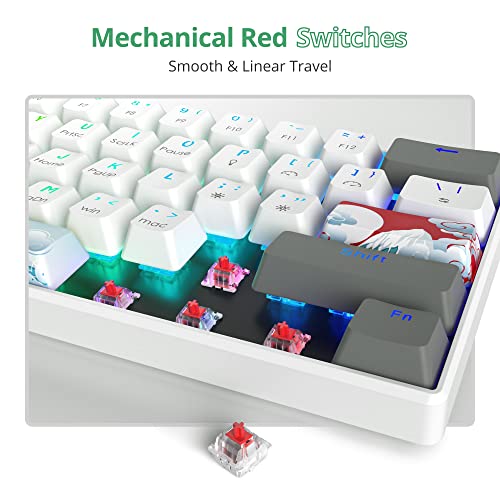 Owpkeenthy RGB Mechanical Keyboard 60 Percent Red Switches, Ultra-Compact Mini Wired Gaming Keybaord with Backlit PBT Dye-Sub Keycaps for Win/Mac/PC (White/Red Switch) - Image 3