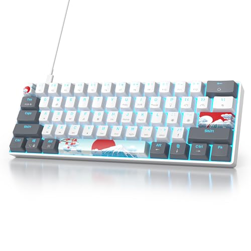 Owpkeenthy RGB Mechanical Keyboard 60 Percent Red Switches, Ultra-Compact Mini Wired Gaming Keybaord with Backlit PBT Dye-Sub Keycaps for Win/Mac/PC (White/Red Switch) - Image 1