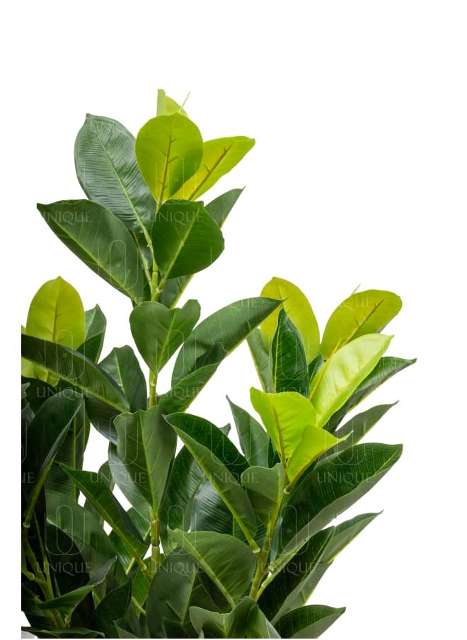Unique Pots And Plants Rubber Fig Artificial Tree Green Leafs H85CM  - Image 2