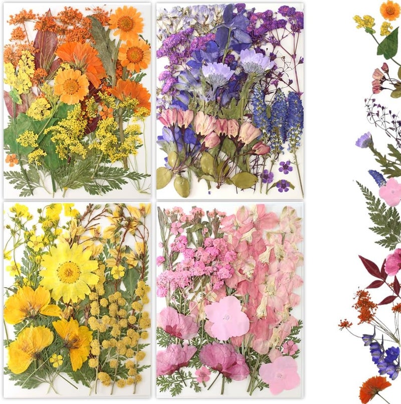 Buzidao 80Pcs Pressed Flowers, Dried Flowers Natural Pressed Flowers Bulk for Resin Molds, Nail Art, Scrapbooking, Candle Holder, Jewelry Making, Real Dried Pressed Flowers DIY Crafts Supplies Kit - Image 1