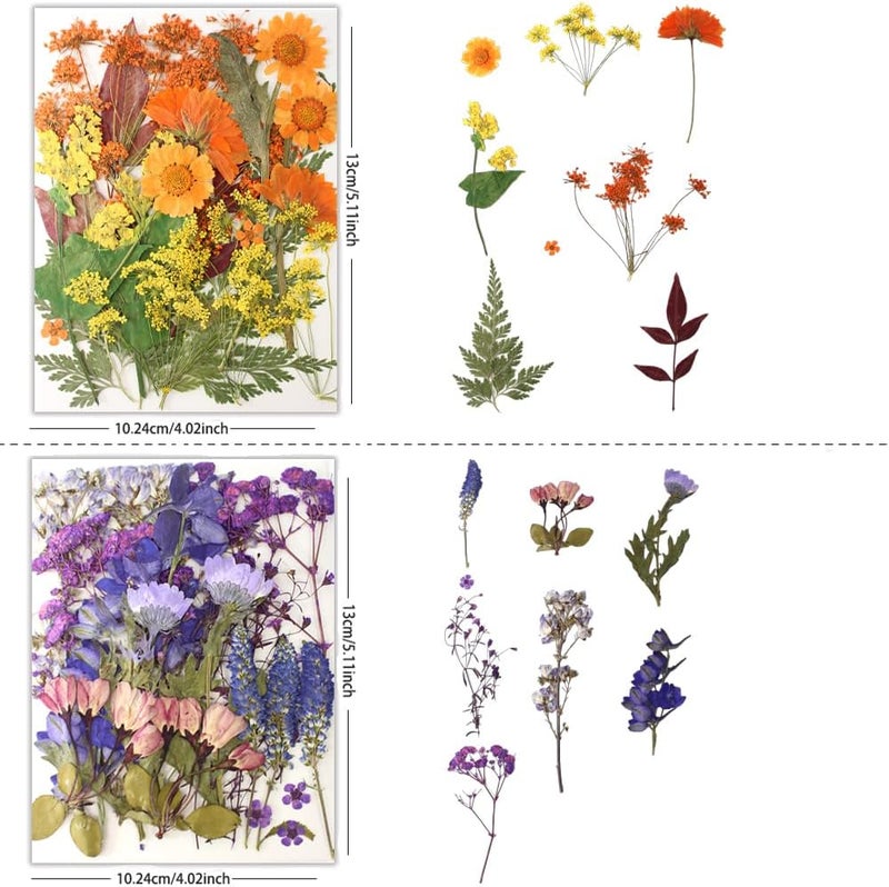 Buzidao 80Pcs Pressed Flowers, Dried Flowers Natural Pressed Flowers Bulk for Resin Molds, Nail Art, Scrapbooking, Candle Holder, Jewelry Making, Real Dried Pressed Flowers DIY Crafts Supplies Kit - Image 2
