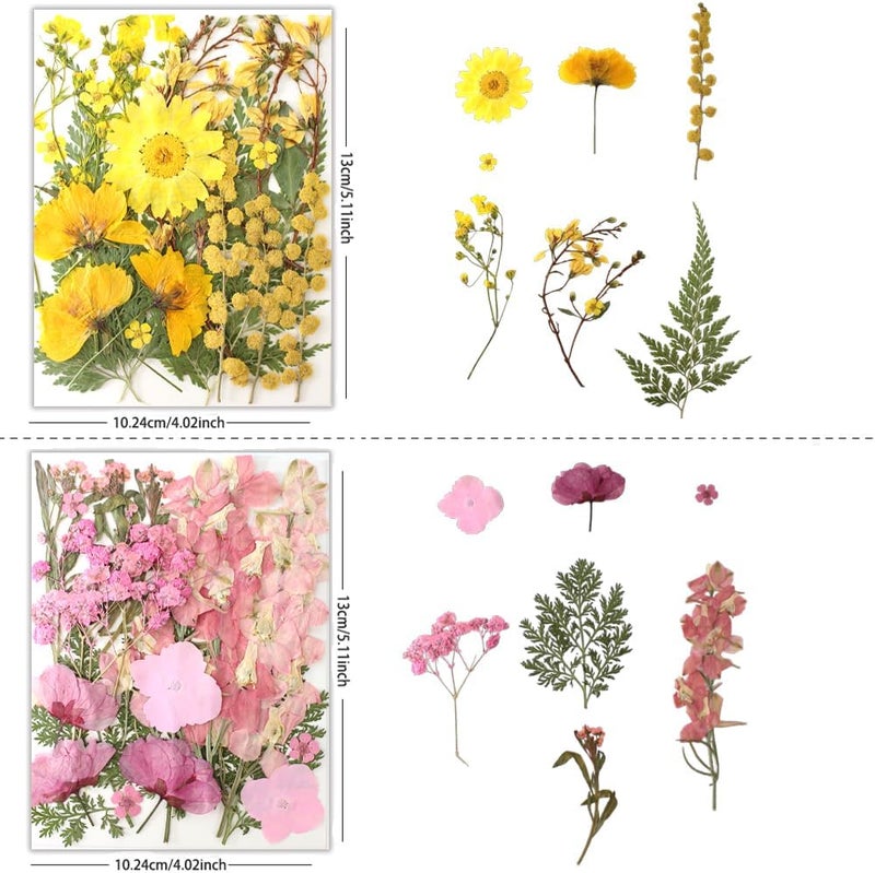 Buzidao 80Pcs Pressed Flowers, Dried Flowers Natural Pressed Flowers Bulk for Resin Molds, Nail Art, Scrapbooking, Candle Holder, Jewelry Making, Real Dried Pressed Flowers DIY Crafts Supplies Kit - Image 3