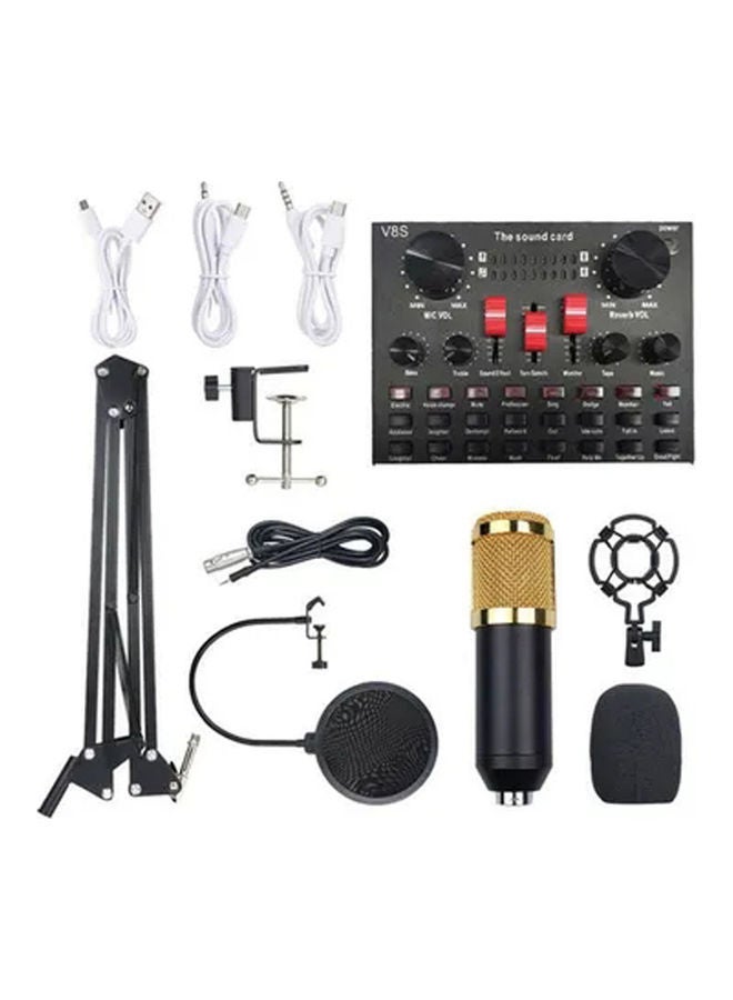 Arabest Studio Recording Professional Sound Card Microphone Set PSM-Mic05 Muticolour - Image 1