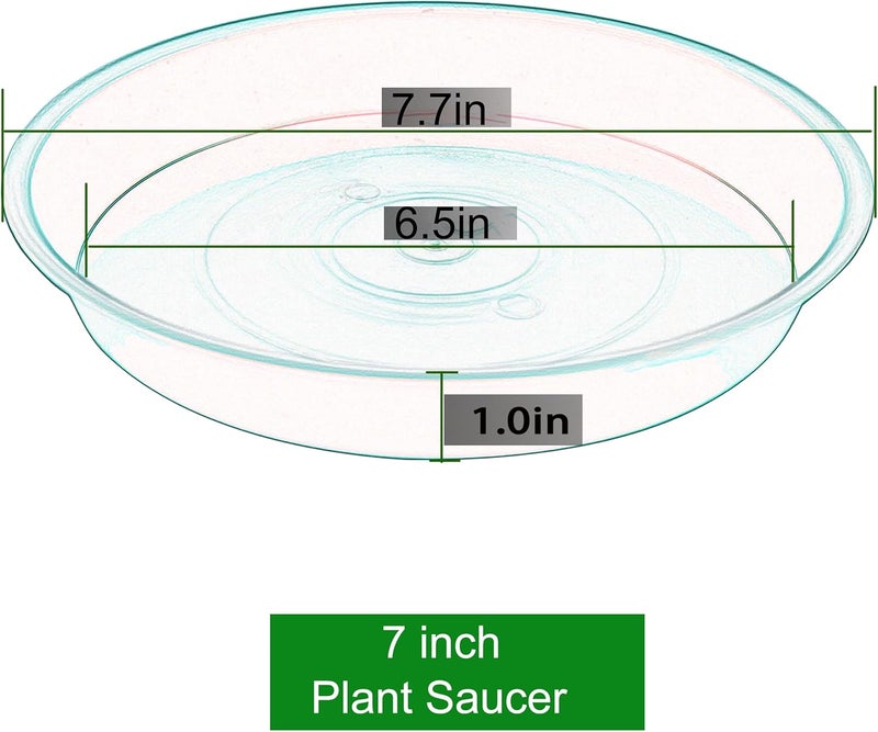 Bleuhome 6 Pack of 7 inch Plant Saucer Clear, Heavy Duty Plastic Plant Water Tray 7 inch Round, Flower Plant Saucers for Indoors No Holes, Plant Dishes Saucer for Planter 7"/8" (7", Green) - Image 2