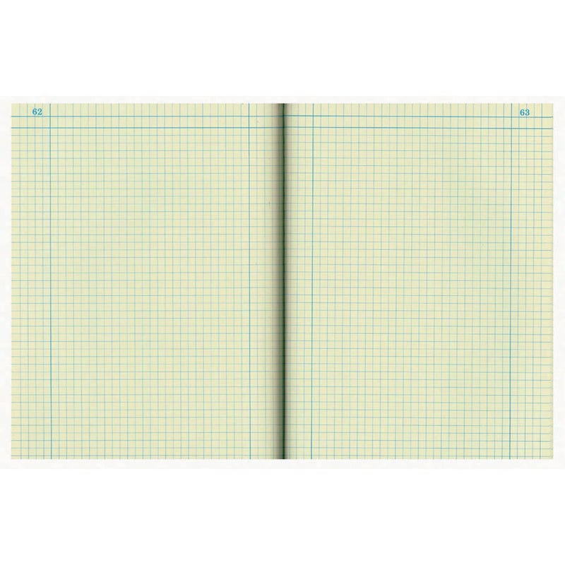 National Brand Computation Notebook, 4 X 4 Quad, Brown, Green Paper, 11.75 x 9.25 Inches, 75 Sheets (43648) - Image 3