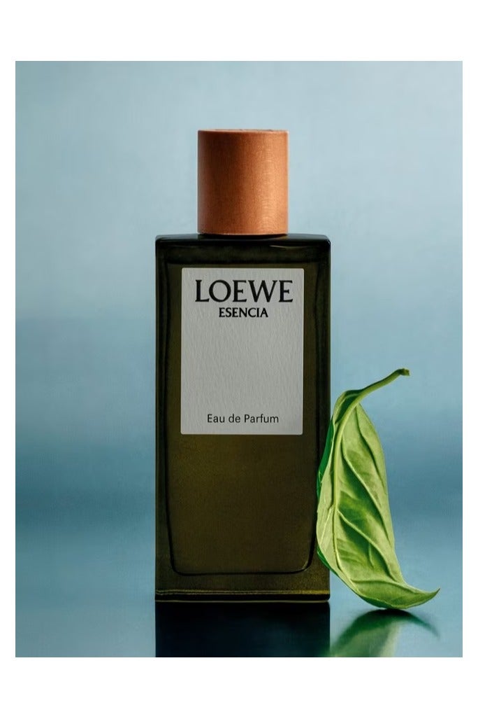 Loewe Esencia Eau de Parfum for Men 100ml - Image 3
