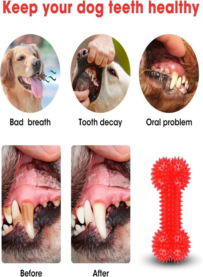 Smart Pups Squeaky Toys Teething Toys Toys for Dogs Pack of 1 Pcs (Squekay Bone Toys, Multicolour) - Image 3