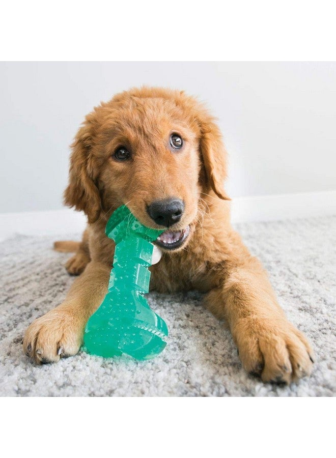 Kong Squeezz Dental Bone  Dog Toy For Cleaning Teeth  Flexible Chew Toy For Gentle & Mild Chewers  For Medium/Large Dogs - Image 2