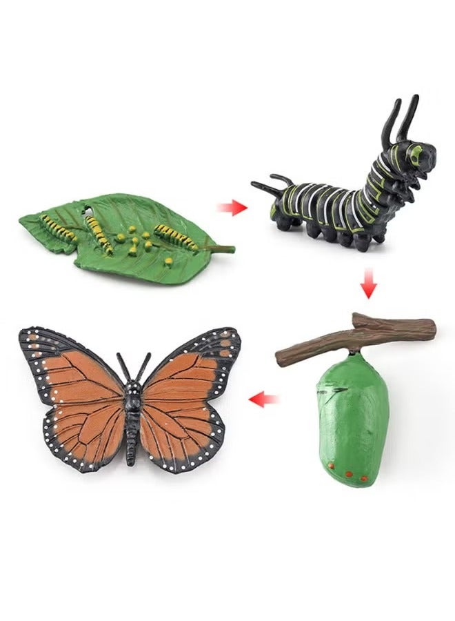 4-Piece Butterfly Growth Cycle Model Figure, Realistic Animal Figurines, Animal Growth Cycle Biological Model, Lifelike Butterfly Life Cycle Model Set for Kids Education, Learning Gifts, Party Favors - Image 1