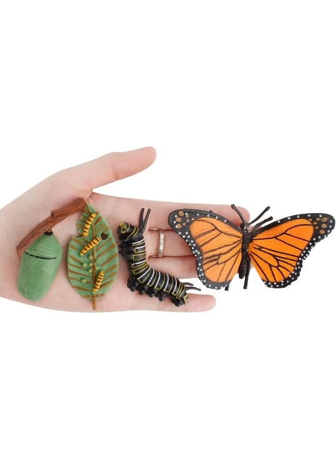 4-Piece Butterfly Growth Cycle Model Figure, Realistic Animal Figurines, Animal Growth Cycle Biological Model, Lifelike Butterfly Life Cycle Model Set for Kids Education, Learning Gifts, Party Favors - Image 2