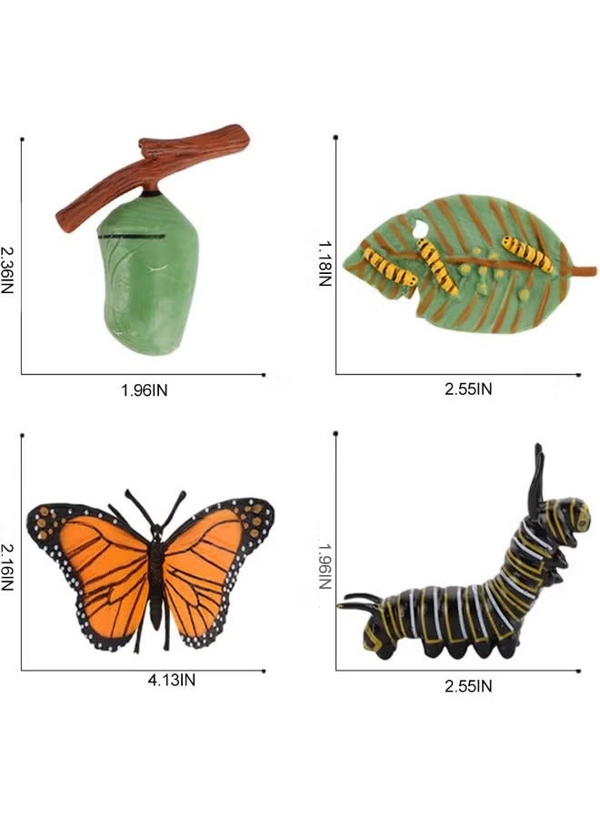 4-Piece Butterfly Growth Cycle Model Figure, Realistic Animal Figurines, Animal Growth Cycle Biological Model, Lifelike Butterfly Life Cycle Model Set for Kids Education, Learning Gifts, Party Favors - Image 3