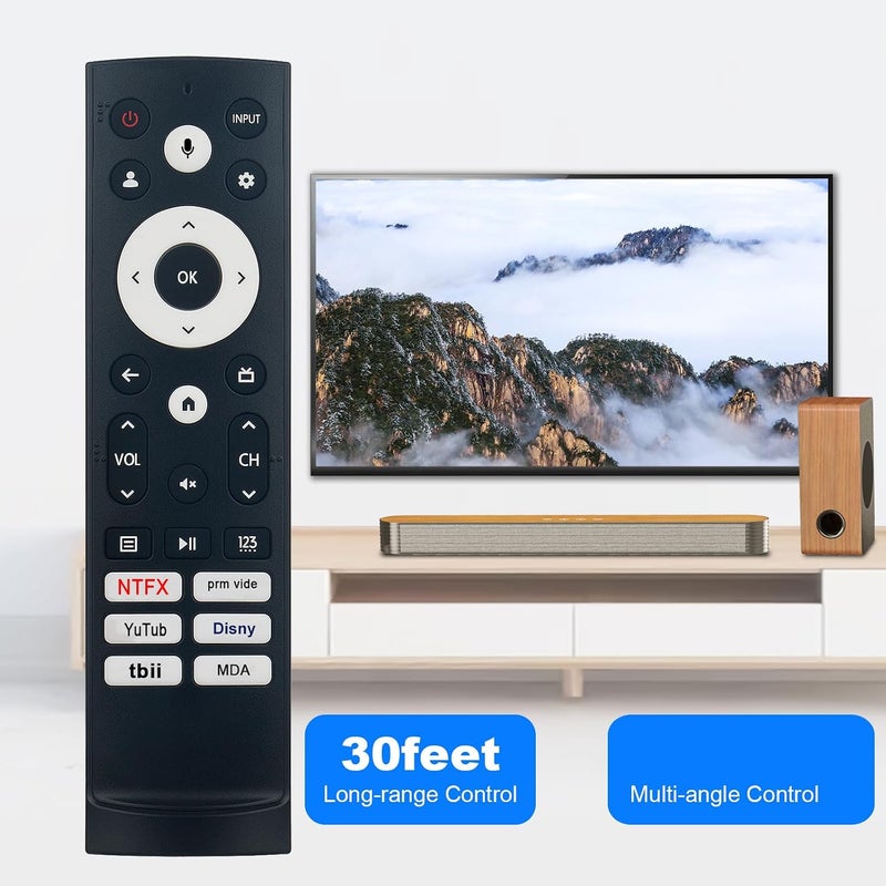 فينابتي جهاز التحكم عن بعد الصوتي البديل يعمل مع تلفزيون Hisense QLED Series Quantum 4K ULED Mini-LED Google الذكي: 43A6H 43A65H 43A68H 55U6H 65U6H 75U6H 55U7G 65U7G 50A6H 50A65H 50A68H 55A6H 65A68H 75A6H 75A65H - Image 4
