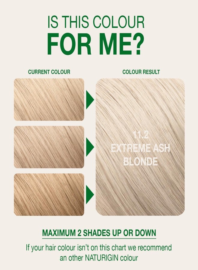 Naturigin Permanent Hair Color, 11.2 Extreme Ash Blonde, Ammonia Free, 100% Gray Coverage, Nourishing Natural Formula, For All Hair Types, Long-Lasting, Vegan & Cruelty-Free, 1 Pack - Image 5