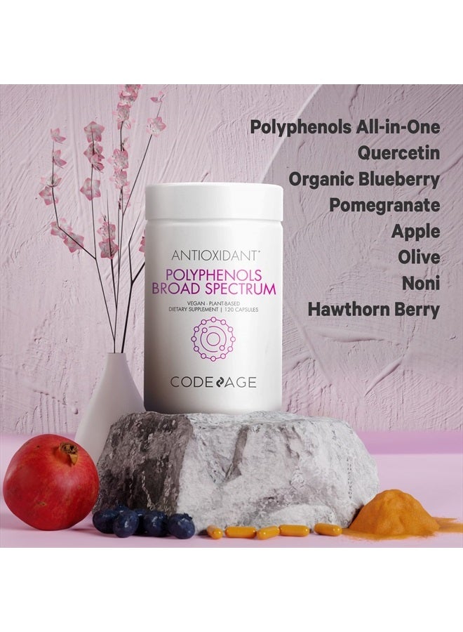 Codeage Polyphenols Supplement - Organic Green Tea Pills, Quercetin, Pomegranate, Turmeric - Resveratrol & Plant Polyphenols Foods - Polyphenol Nutrients - Vegan, Non-GMO - 120 Capsules - Image 3