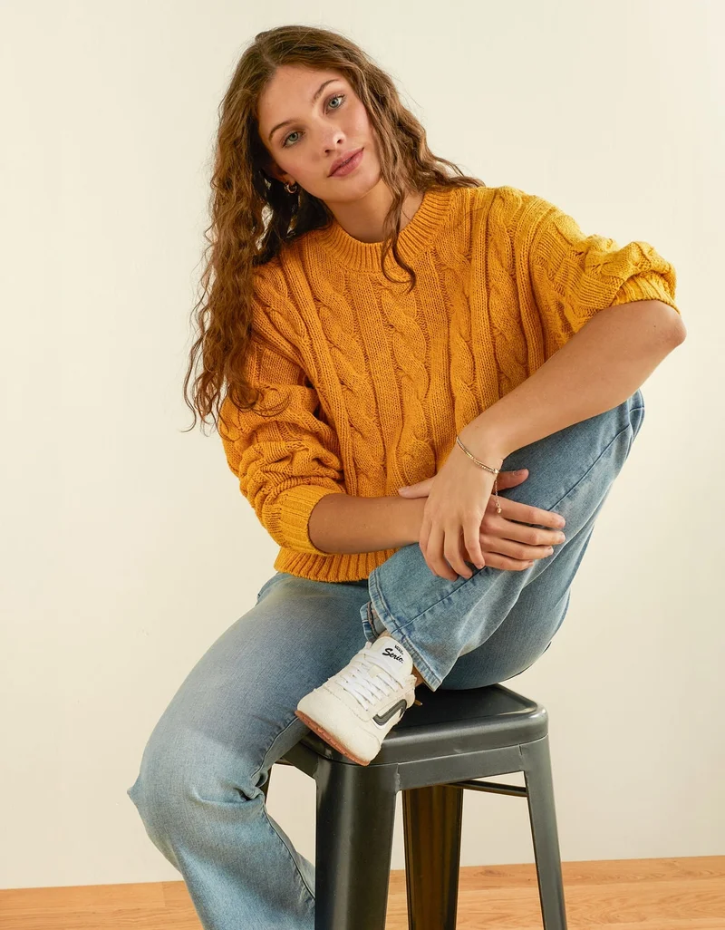 AE Cropped Cable Knit Sweater