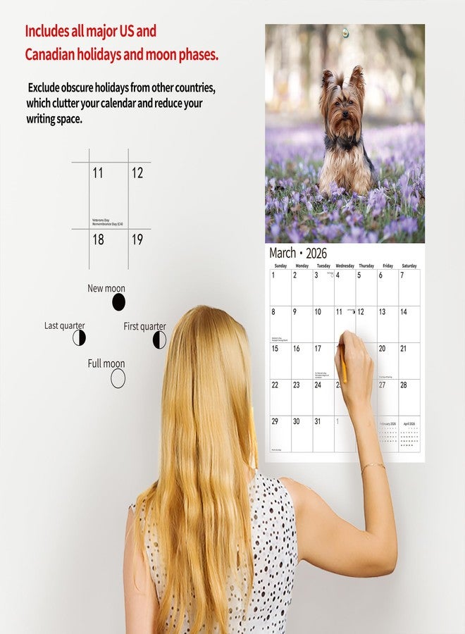 windrio 2026 Wall Calendar,Calendar 2026, July 2025 - December 2026, Wall Calendar Yorkshire Terrier Puppies, 12" x 24" Opened,Full Page Months Thick & Sturdy Paper for Calendar Organizing & Planning - Image 4