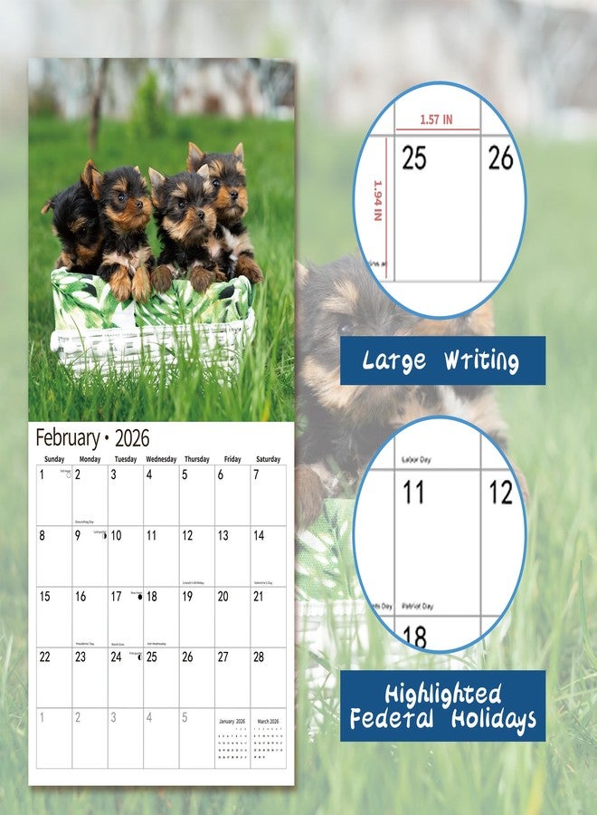windrio 2026 Wall Calendar,Calendar 2026, July 2025 - December 2026, Wall Calendar Yorkshire Terrier Puppies, 12" x 24" Opened,Full Page Months Thick & Sturdy Paper for Calendar Organizing & Planning - Image 3
