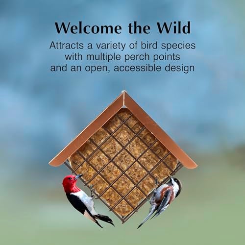 CS C&S Hanging Suet Basket w/Roof 14.4 Ounces - Image 2