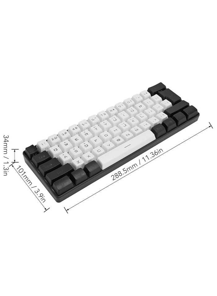 erorex 60% Mini RGB Keyboard, 61 Keys LED Backlight Ergonomic Mechanical Feeling Wired Gaming Keyboard for Office Business Gaming (White) - Image 2