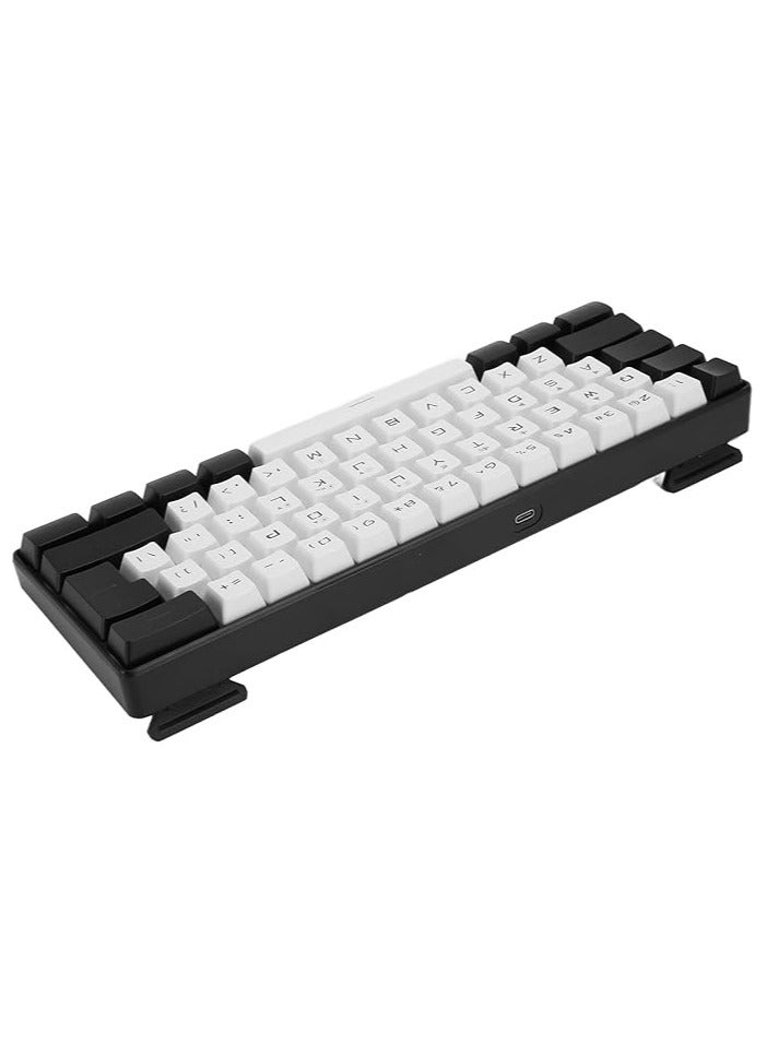 erorex 60% Mini RGB Keyboard, 61 Keys LED Backlight Ergonomic Mechanical Feeling Wired Gaming Keyboard for Office Business Gaming (White) - Image 3