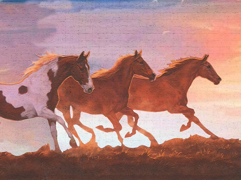 Dundee Deco Wallpaper Border Peel and Stick DDAZBD9235 Nature Orange Brown Purple Horses Wall Border Retro Design 15 ft x 7 in 457m x 1778cm Self Adhesive