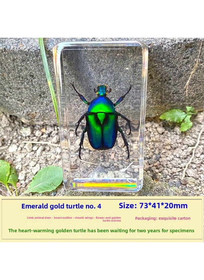 Insect Specimen Real Mono Fairy Amber Scarab Book Town Home Desk Decoration Mantis Spider Scorpion Factory-Color:Turtle 4  - Image 5