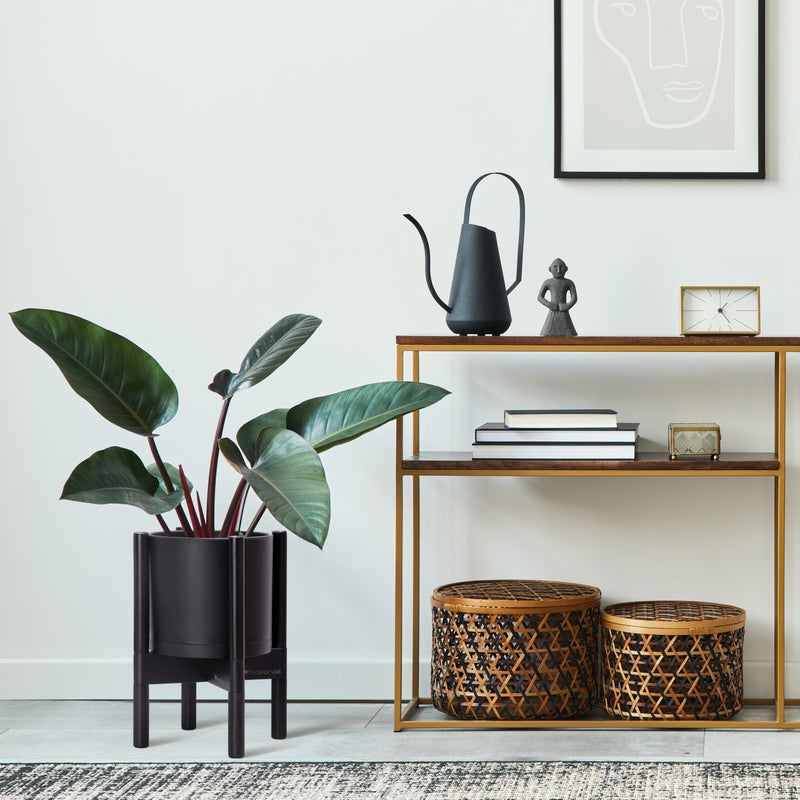 D'vine Dev Planter Pot with Stand - 8 Inch Plastic Cylinder Flower Pot with Wood Planter Holder for Indoor, Matte Black Pot + Ebony Stand, 55-C-K-2 - Image 2
