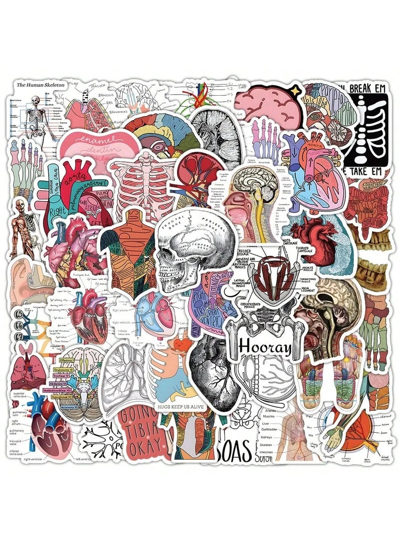 Anatomical Educational Sticker Pack - 50 Unique Designs for Medical Students - Image 1