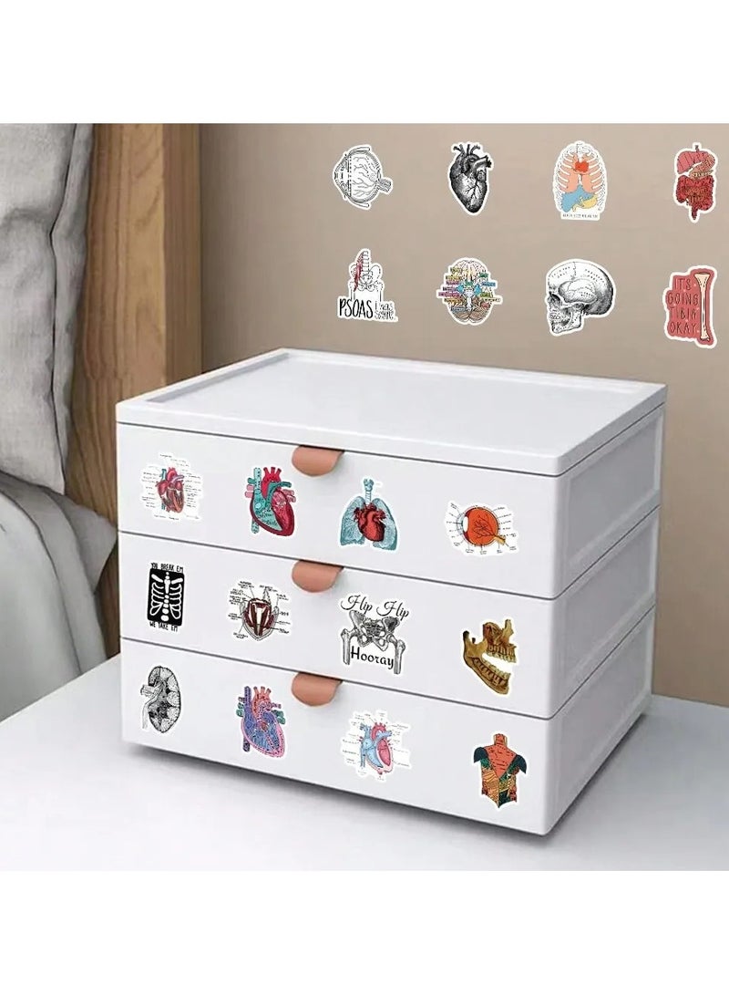 Anatomical Educational Sticker Pack - 50 Unique Designs for Medical Students - Image 5