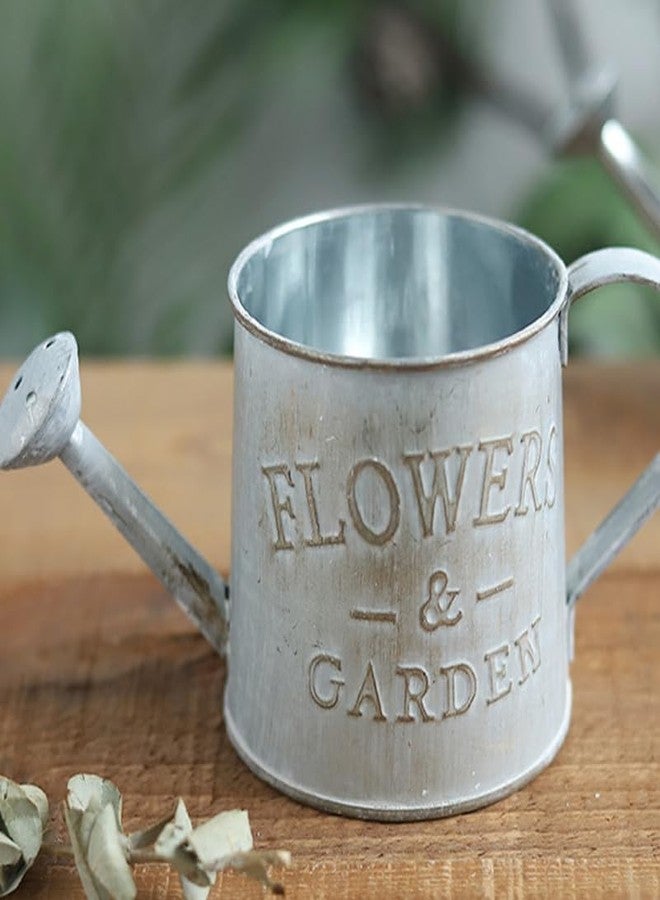 أموسفون أباريق سقي زهور من قطعتين من أموسفن - أباريق معدنية عتيقة صغيرة لتزيين المنزل والحديقة - Image 3