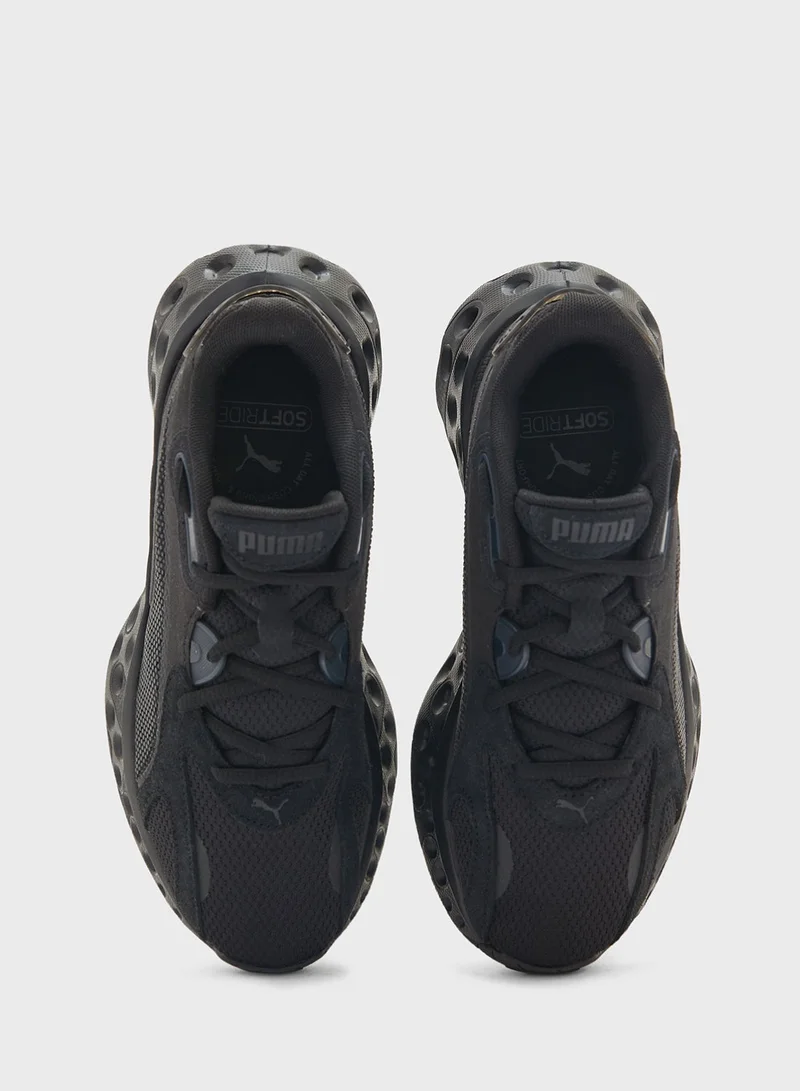 PUMA Softride Frequence Best Price UAE