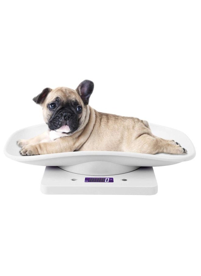 silvercnc - Small Pet Scale for cat and Dog, Baby Scale 10kg/1g Digital Small Pet Weight Scale Multi-Function Baby Scale for Small pet Hatching and Food Weighing, Measure Tool Electronic Kitchen Scale - Image 1