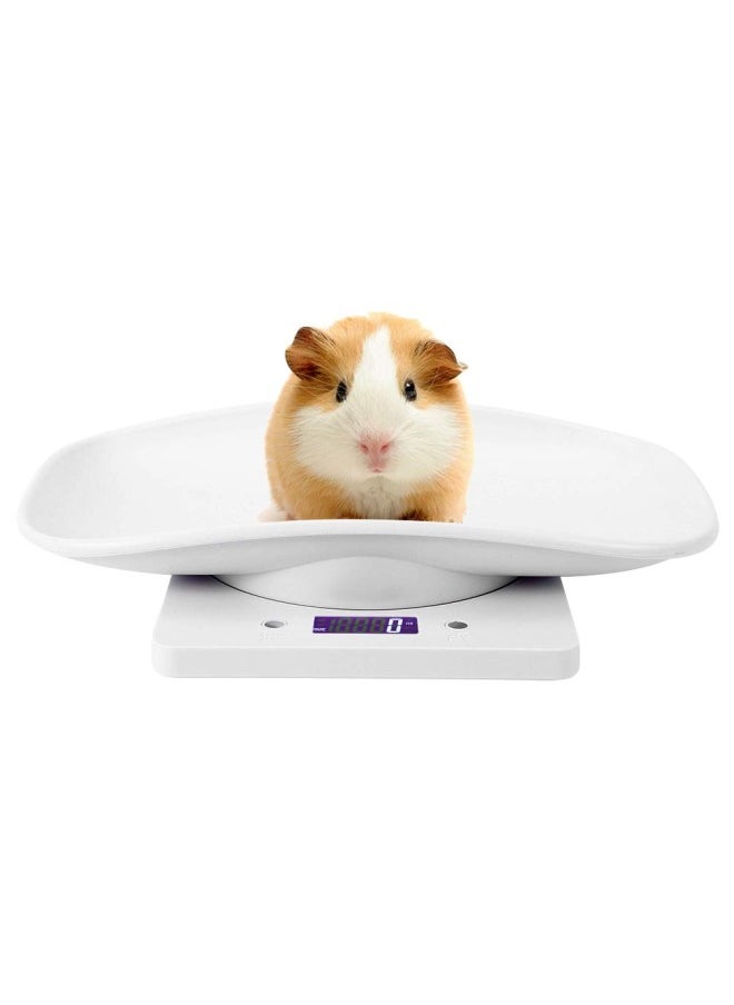 silvercnc - Small Pet Scale for cat and Dog, Baby Scale 10kg/1g Digital Small Pet Weight Scale Multi-Function Baby Scale for Small pet Hatching and Food Weighing, Measure Tool Electronic Kitchen Scale - Image 1