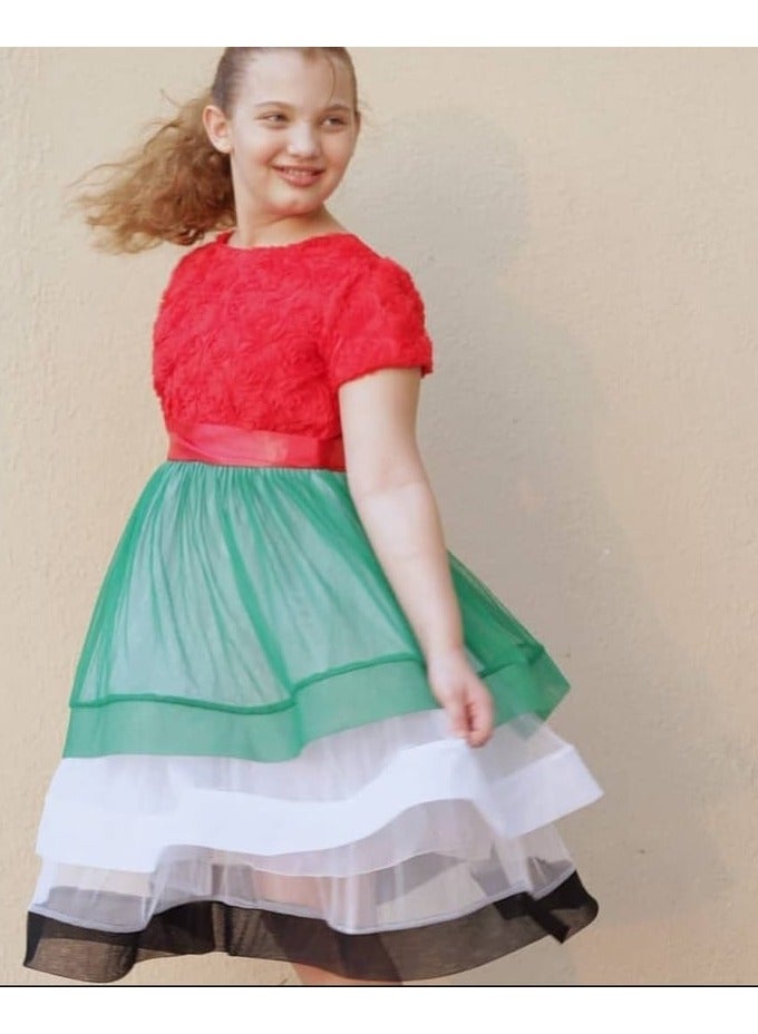 Lamora UAE National Day Flag Dress For Girls  - Image 5