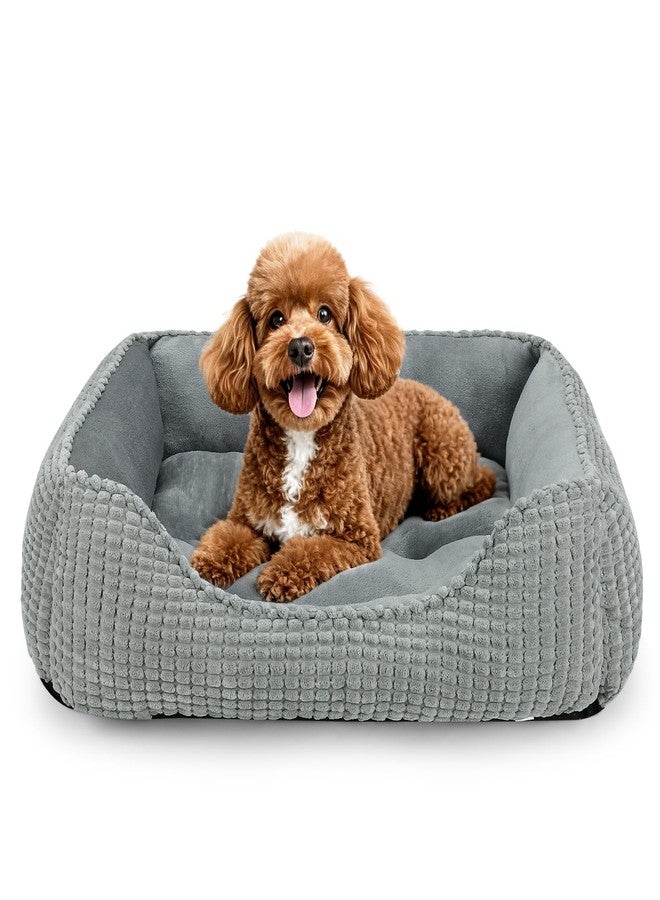 MIXJOY Rectangle Washable Orthopedic Dog Bed for Small, Medium and Large Dogs, Soft Calming, Sleeping Puppy Bed Durable Pet Cuddler with Anti-Slip Bottom, S (20"x19"x6") - Image 1