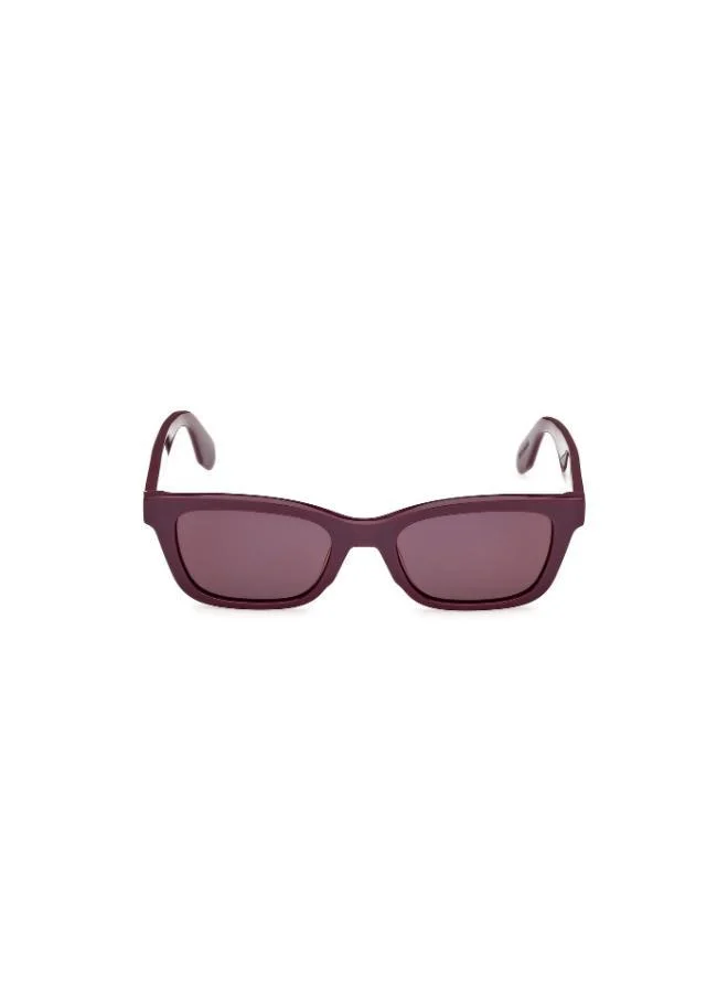Adidas  Wayfarers Sunglasses  | Best Price UAE