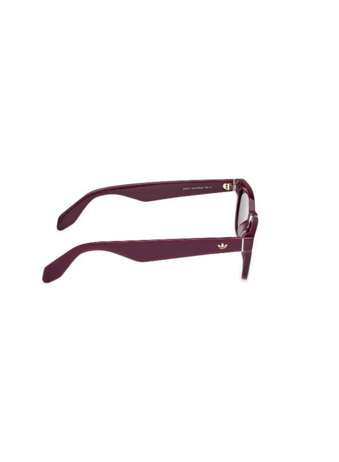 Adidas  Wayfarers Sunglasses  | Best Price UAE
