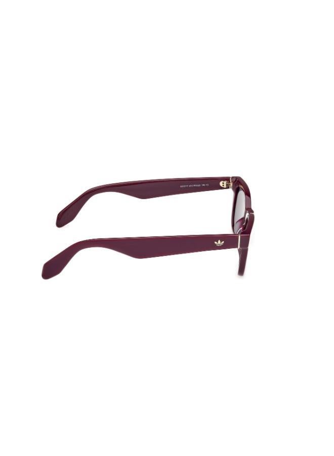 Adidas Wayfarers Sunglasses - Image 4