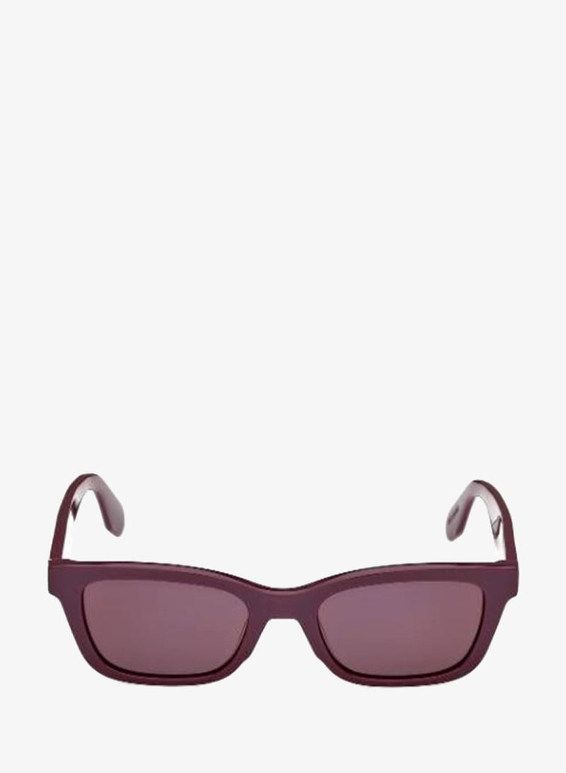 Adidas Wayfarers Sunglasses - Image 5
