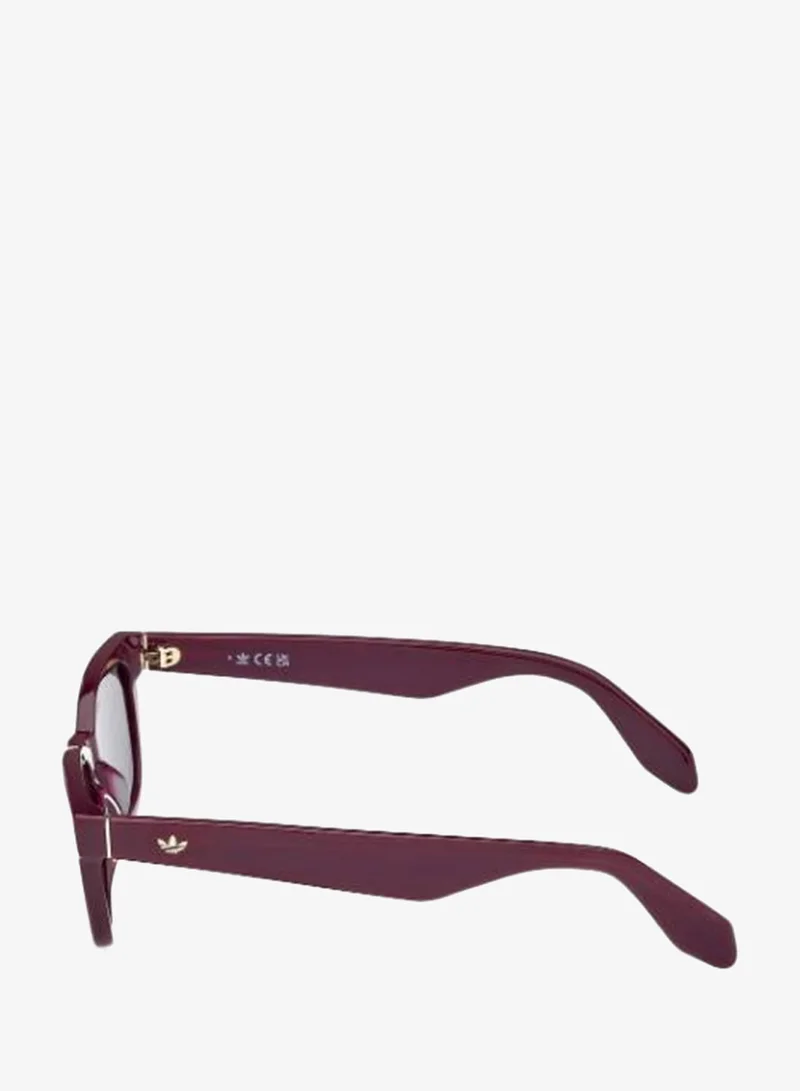 Adidas Wayfarers Sunglasses