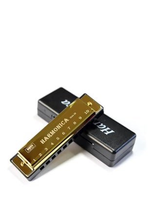 MySouq.co Store Harmonica for Musical Instrument for Beginners with 10 Hole Diatonic Mouth Organ Set with Storage Box Music Boxes 11Cm Long (Red) - pzsku/Z33BCF15523EEB1269239Z/45/1745832983/66cc66f2-80f7-4c29-b6cf-a45e65607104