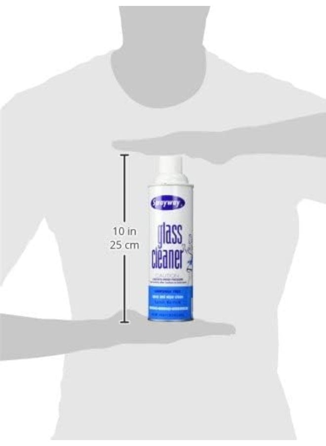 Sprayway - Sprayway Glass Cleaner 19 Oz 1 Pack (Packaging May Vary) - Image 1