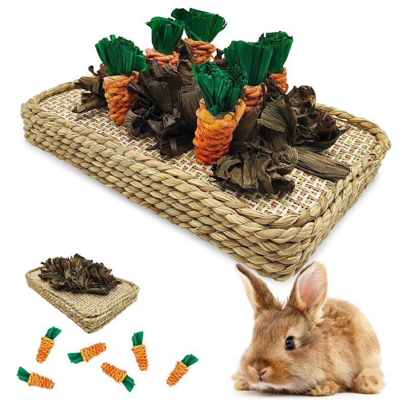 Hamiledyi Pet Fun Bunny Chew Toy Rattan Grass Scratcher Rabbit Enrichment Climbing Play Carrot Digging Toys for Bunnies Rabbits Guinea Pigs Parrots Ferret Hedgehog Squirrel and Other Rodents - Image 1