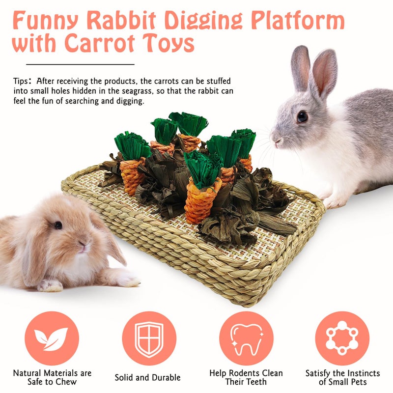 Hamiledyi Pet Fun Bunny Chew Toy Rattan Grass Scratcher Rabbit Enrichment Climbing Play Carrot Digging Toys for Bunnies Rabbits Guinea Pigs Parrots Ferret Hedgehog Squirrel and Other Rodents - Image 3