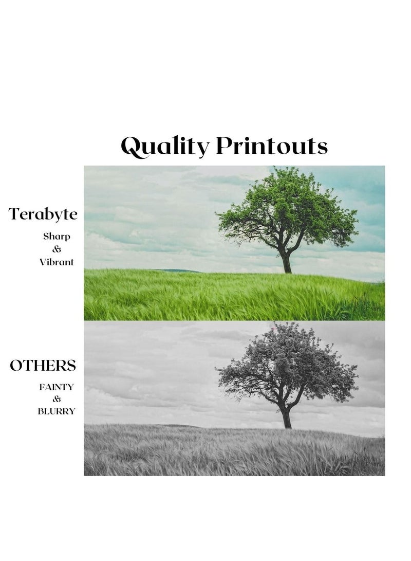 Terabyte GPR34/NPG50/CEXV32 COMPATIBLE TONER TERABYTE - Image 2