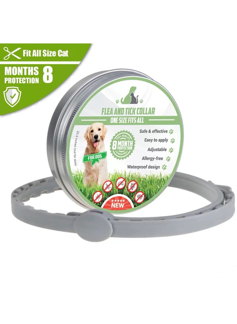 سعودي سيليكت طوق طارد للبراغيث والقراد للكلاب لمدة 8 أشهر، مقاس واحد يناسب الجميع، طوق طارد رمادي قابل للتعديل، يقتل ويطرد البراغيث والقراد واليرقات - Image 1